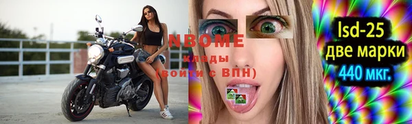 индика Яранск
