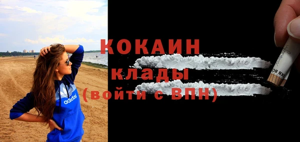 индика Яранск