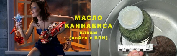 индика Яранск
