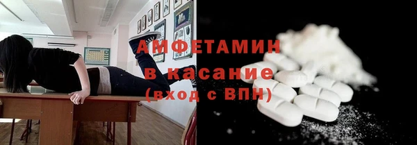 индика Яранск
