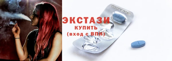 индика Яранск