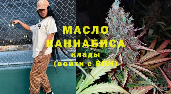 индика Яранск