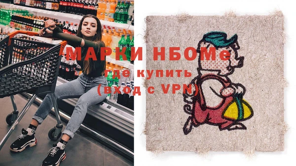 индика Яранск