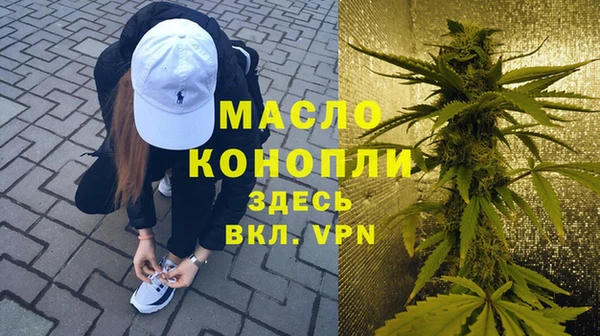 индика Яранск