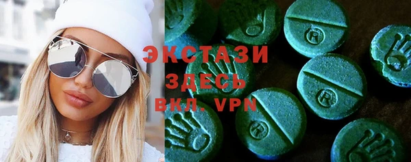 индика Яранск