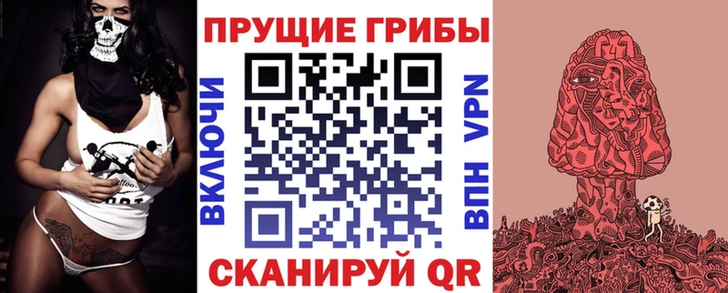 наркошоп  Майкоп  Псилоцибиновые грибы Cubensis 